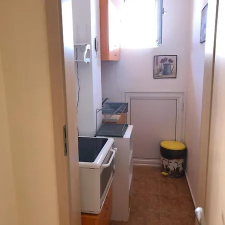 Borko 2* 普里莫尔斯科