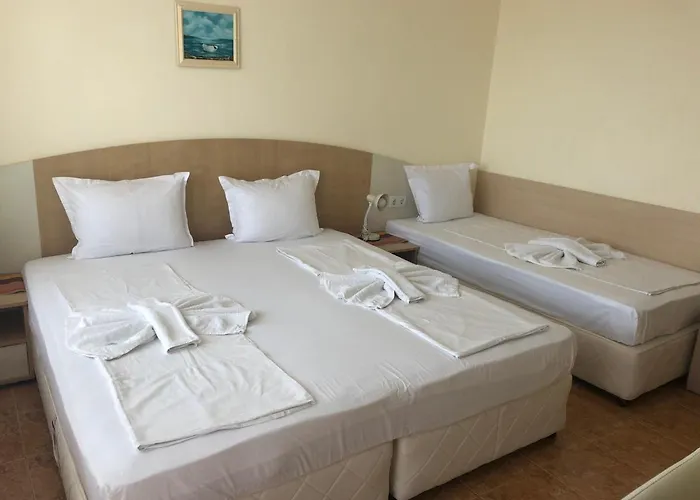 Borko Guest house 2*