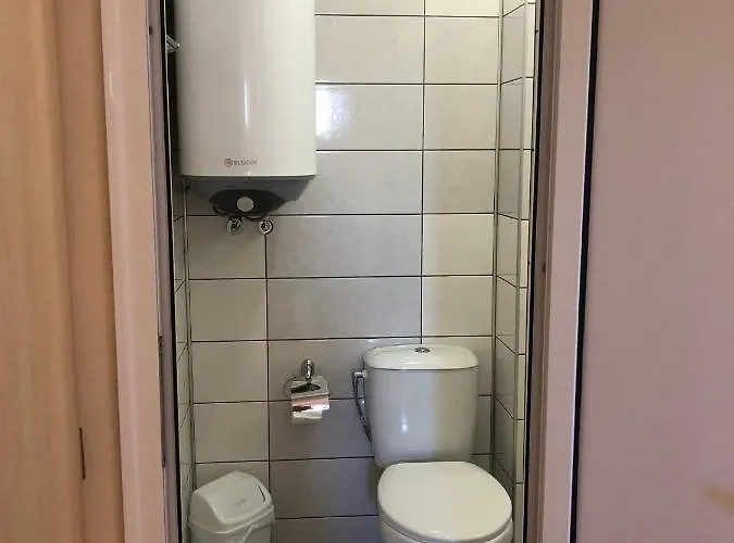 Guest house Borko 2*