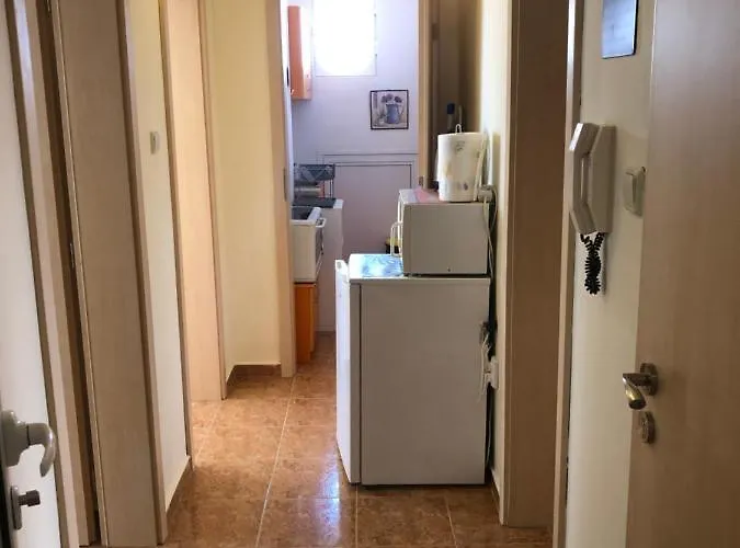 Borko Guest house Primorsko