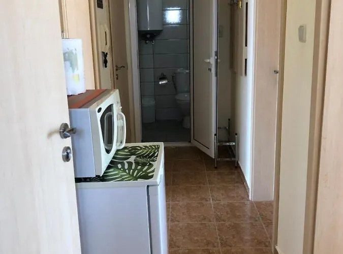 Borko Guest house Primorsko