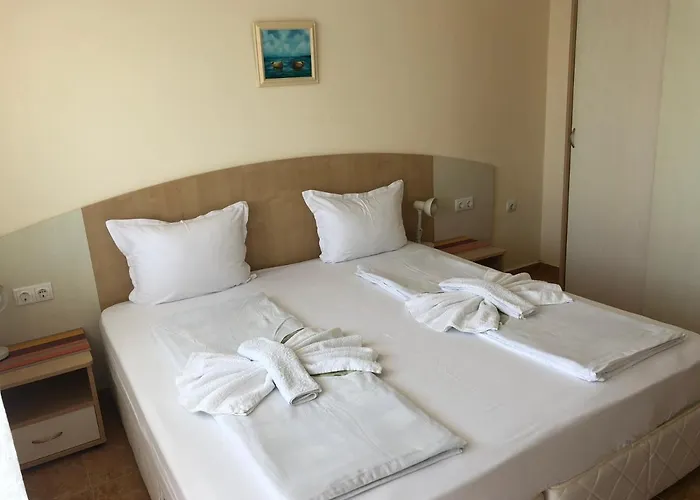 Guest house Borko 2*