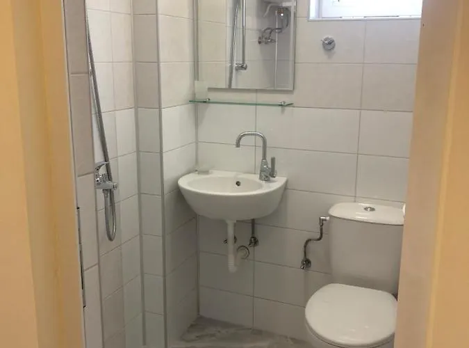 Guest house Borko 2*