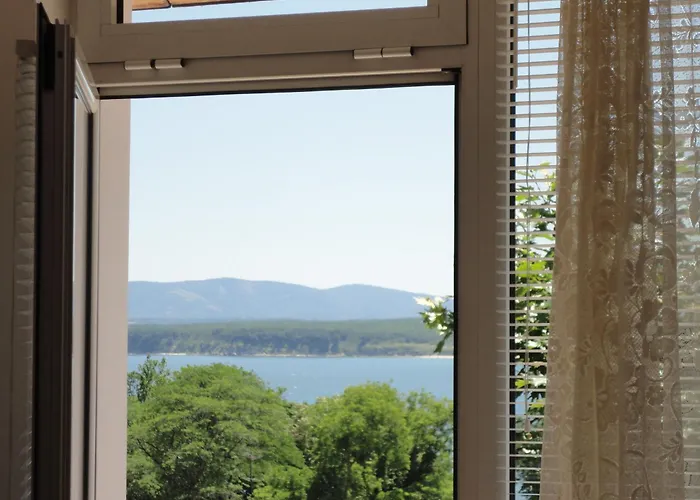 Guest house Borko 2*