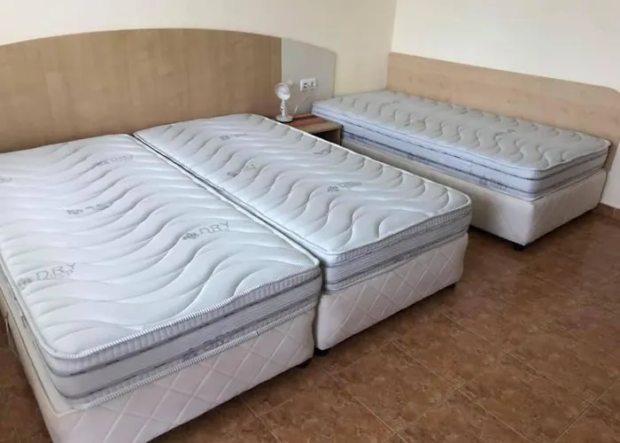 Guest house Borko Primorsko