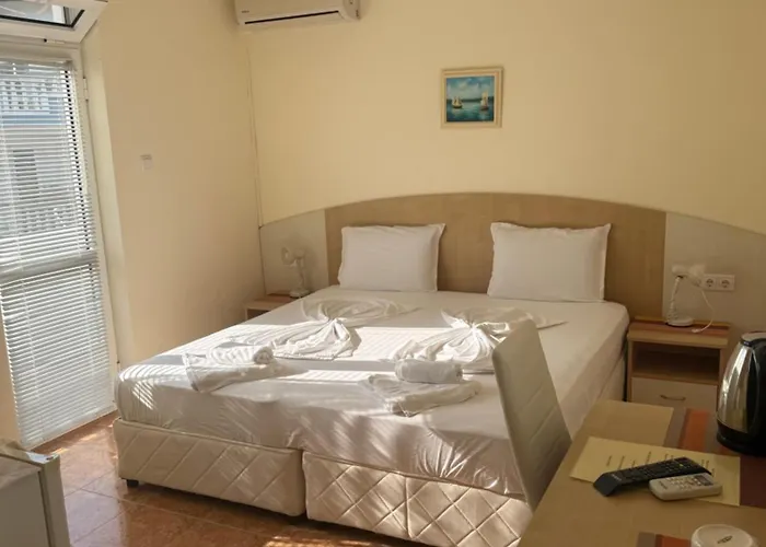 Borko Guest house Primorsko