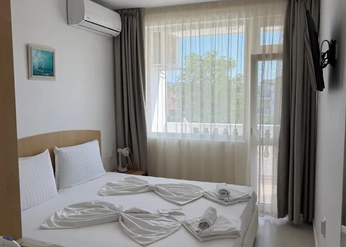 Guest house Borko 2*